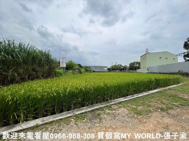 中壢農地-2