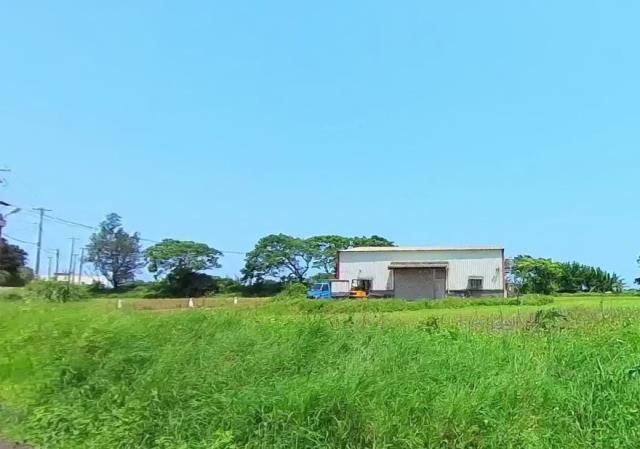桃園大園農地-2